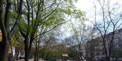 Sparrplatz