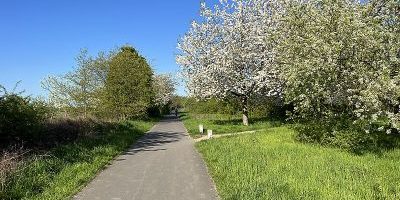 Südpark (Südost)