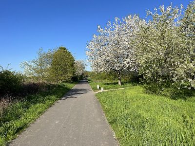Südpark (Südost)