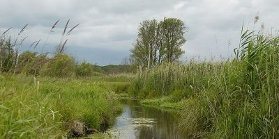 Tegeler Fließ