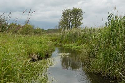 Tegeler Fließ