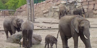 Tierpark Berlin