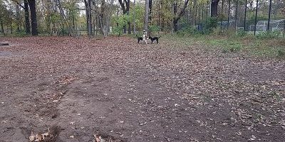 Volkspark Friedrichshain Hundeplatz