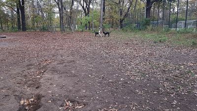 Volkspark Friedrichshain Hundeplatz