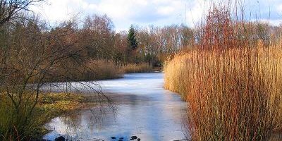 Volkspark Hasenheide
