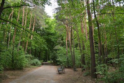 Volkspark Jungfernheide