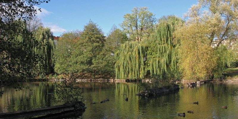 Volkspark Mariendorf