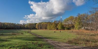 Volkspark Rehberge