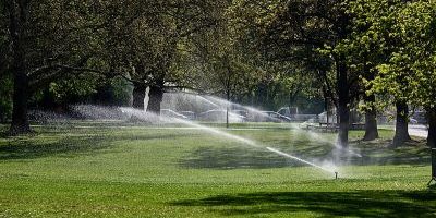 Volkspark Wilmersdorf