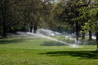 Volkspark Wilmersdorf