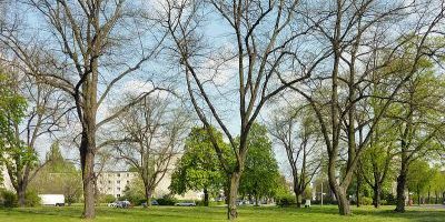 Waldowplatz