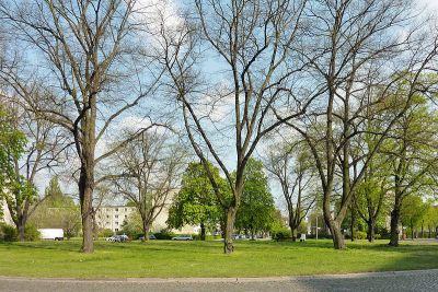 Waldowplatz