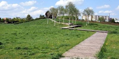 Wiesenpark