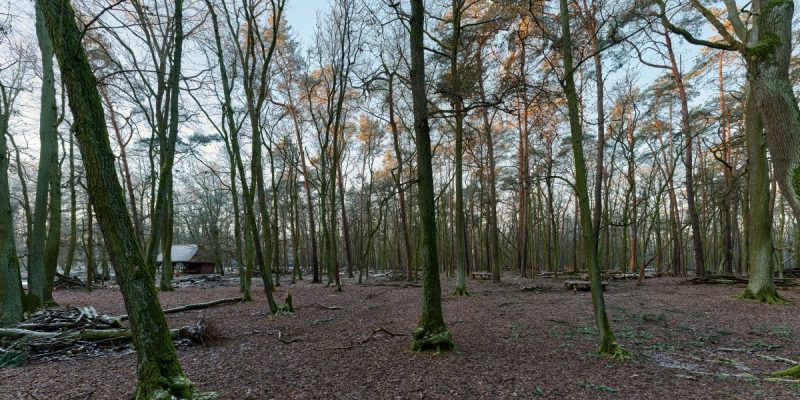 Wildgehege im Spandauer Forst
