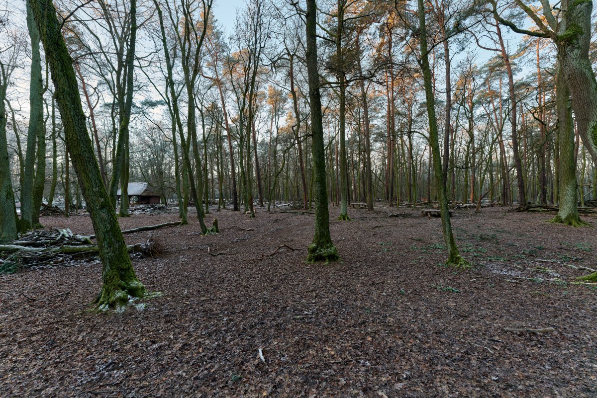 Wildgehege im Spandauer Forst
