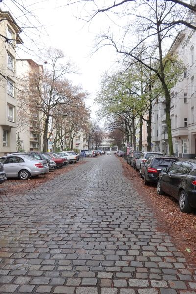 Wilhelmsaue