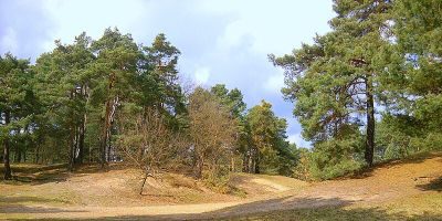 Wilhelmshagen-Woltersdorfer Dünenzug