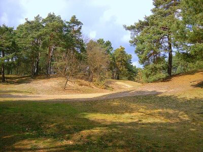 Wilhelmshagen-Woltersdorfer Dünenzug