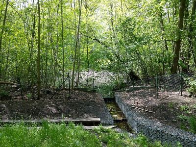 Ziegeleigraben / Albtalweg