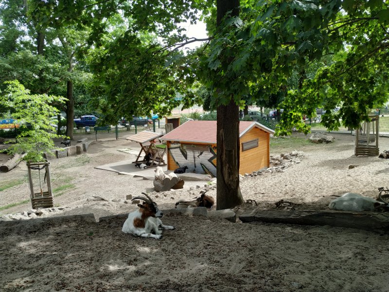 Ziegengehege