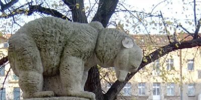 Zwei Bären