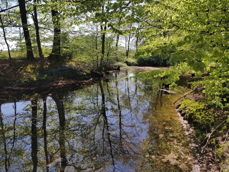 Beckendorfer Mühlenbachtal