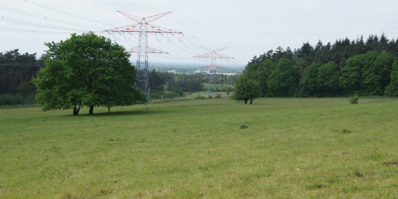 Behrendsgrund