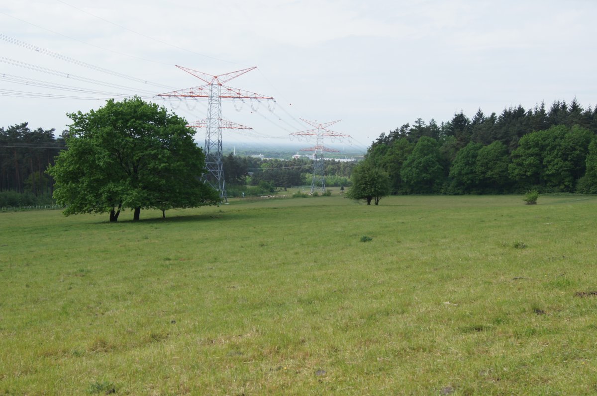 Behrendsgrund