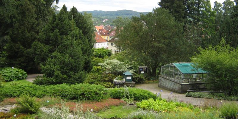 Botanischer Garten