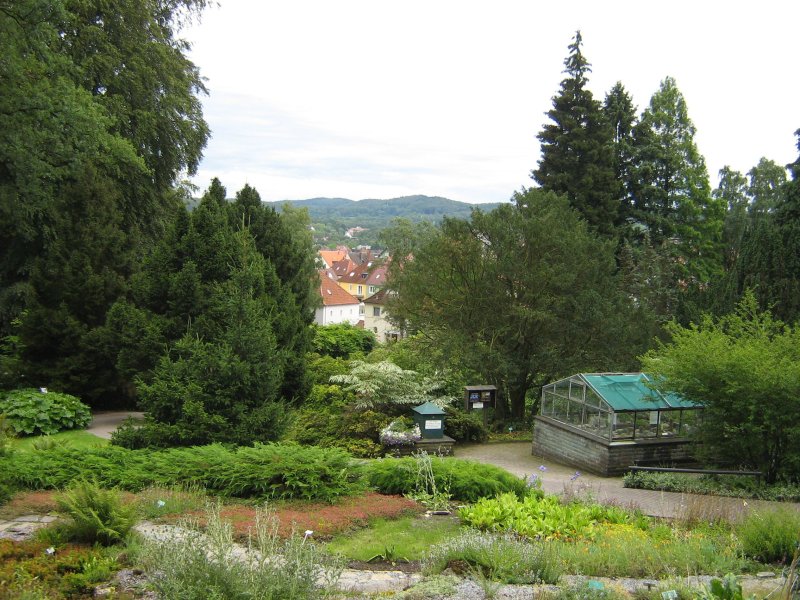 Botanischer Garten
