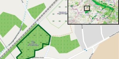 Erlen- und Birkenbruch am Südwestfeld