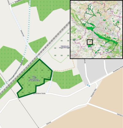 Erlen- und Birkenbruch am Südwestfeld