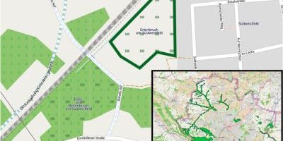 Erlenbruch am Südwestfeld