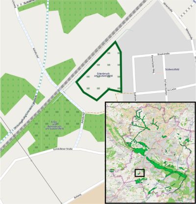 Erlenbruch am Südwestfeld