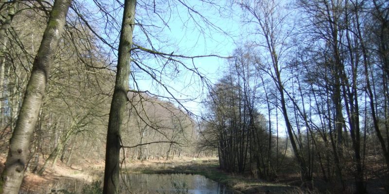 Jammertal (Nordost 2)