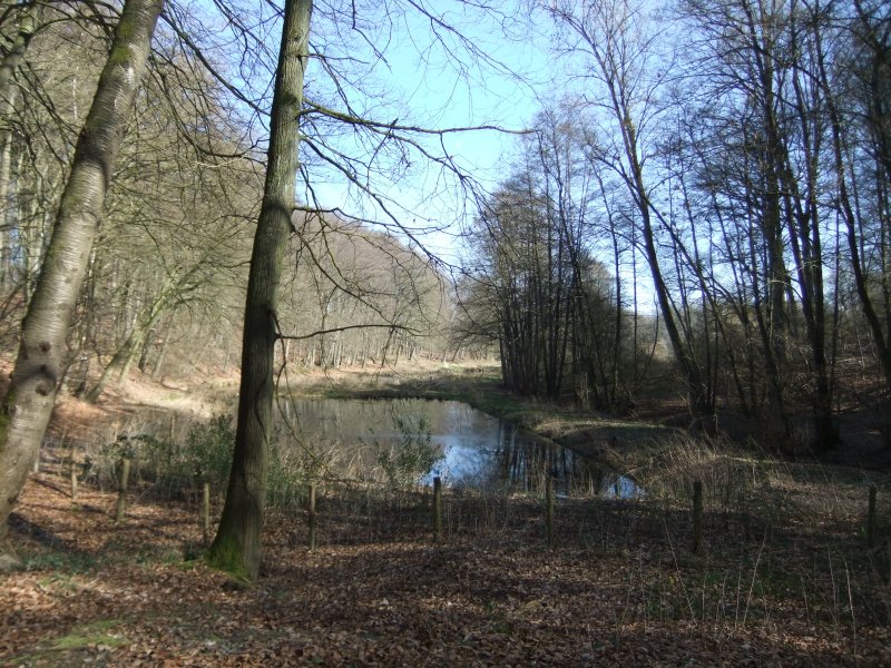 Jammertal