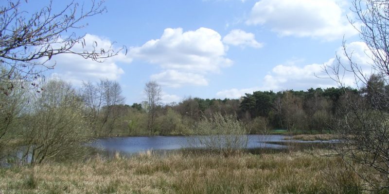 Kampeters Kolk
