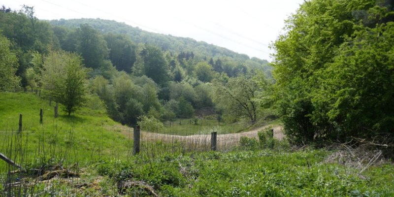 Markengrund