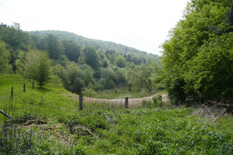 Markengrund