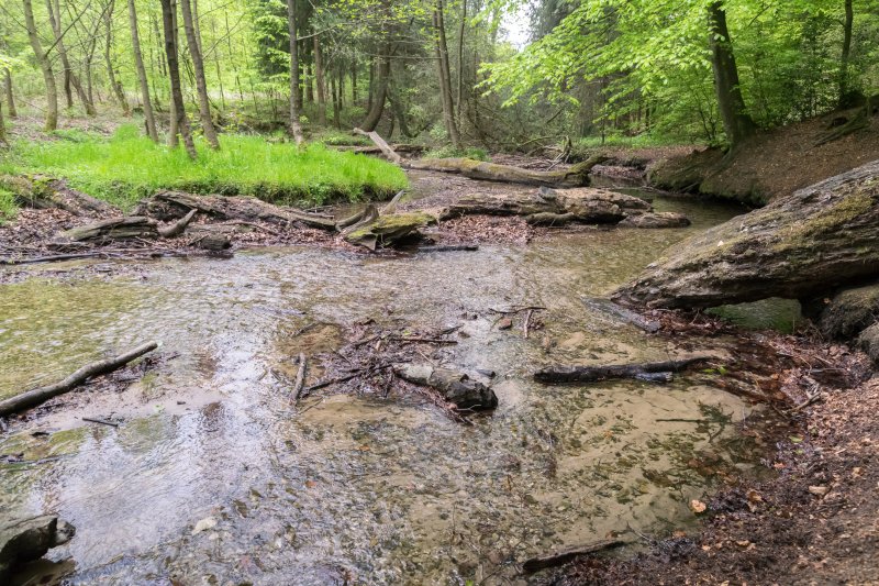 Menkhauser Bachtal mit Schopketal