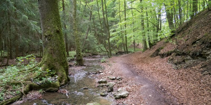 Menkhauser Bachtal mit Schopketal