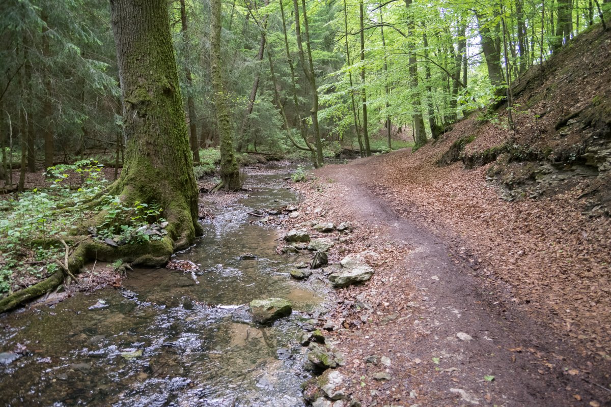 Menkhauser Bachtal mit Schopketal (Südost 2)