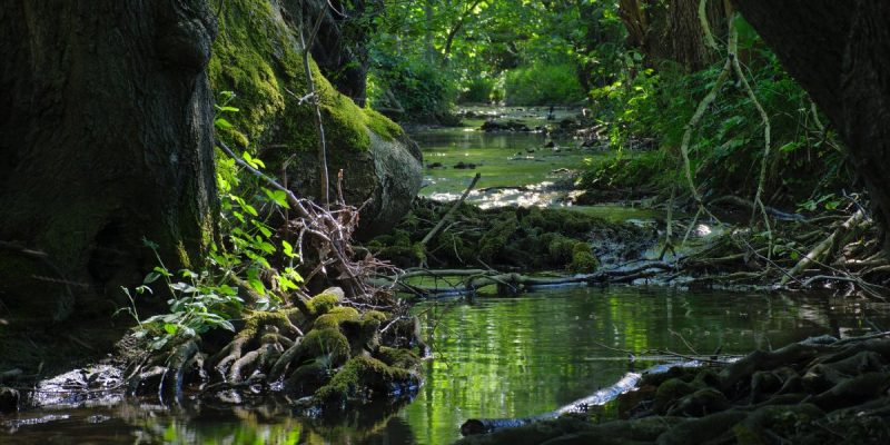 Mittleres Johannisbachtal