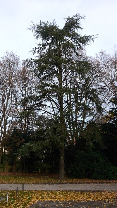 Nordpark