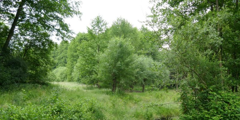 Oberes Johannisbachtal mit Nebentälern