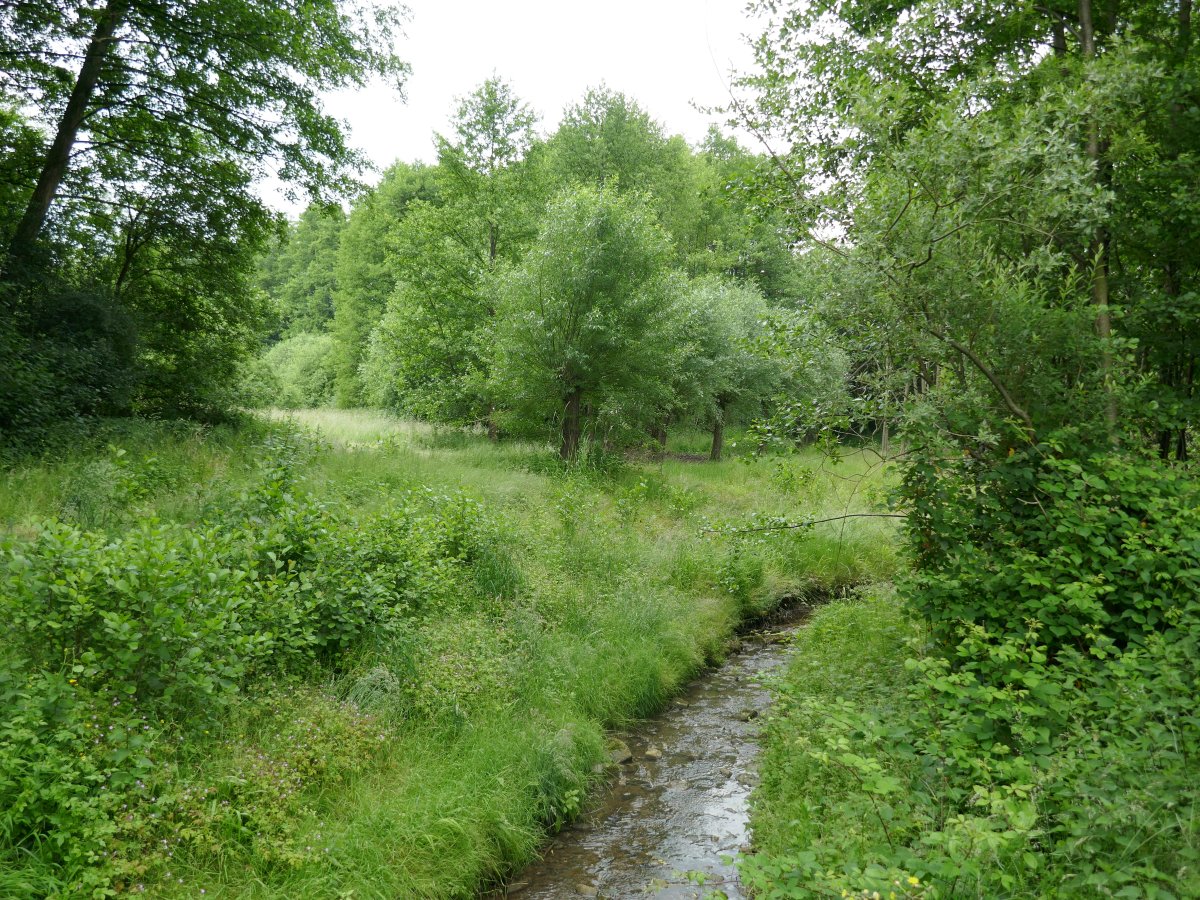 Oberes Johannisbachtal mit Nebentälern