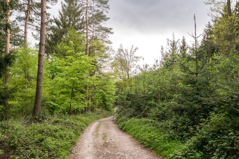 Östlicher Teutoburger Wald