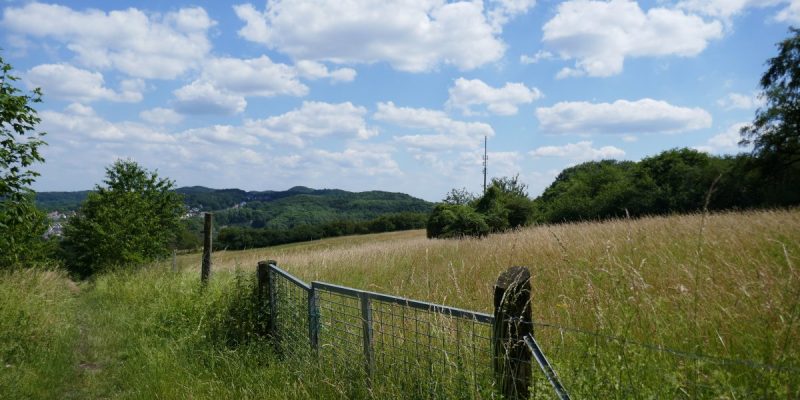 Östlicher Teutoburger Wald (West)