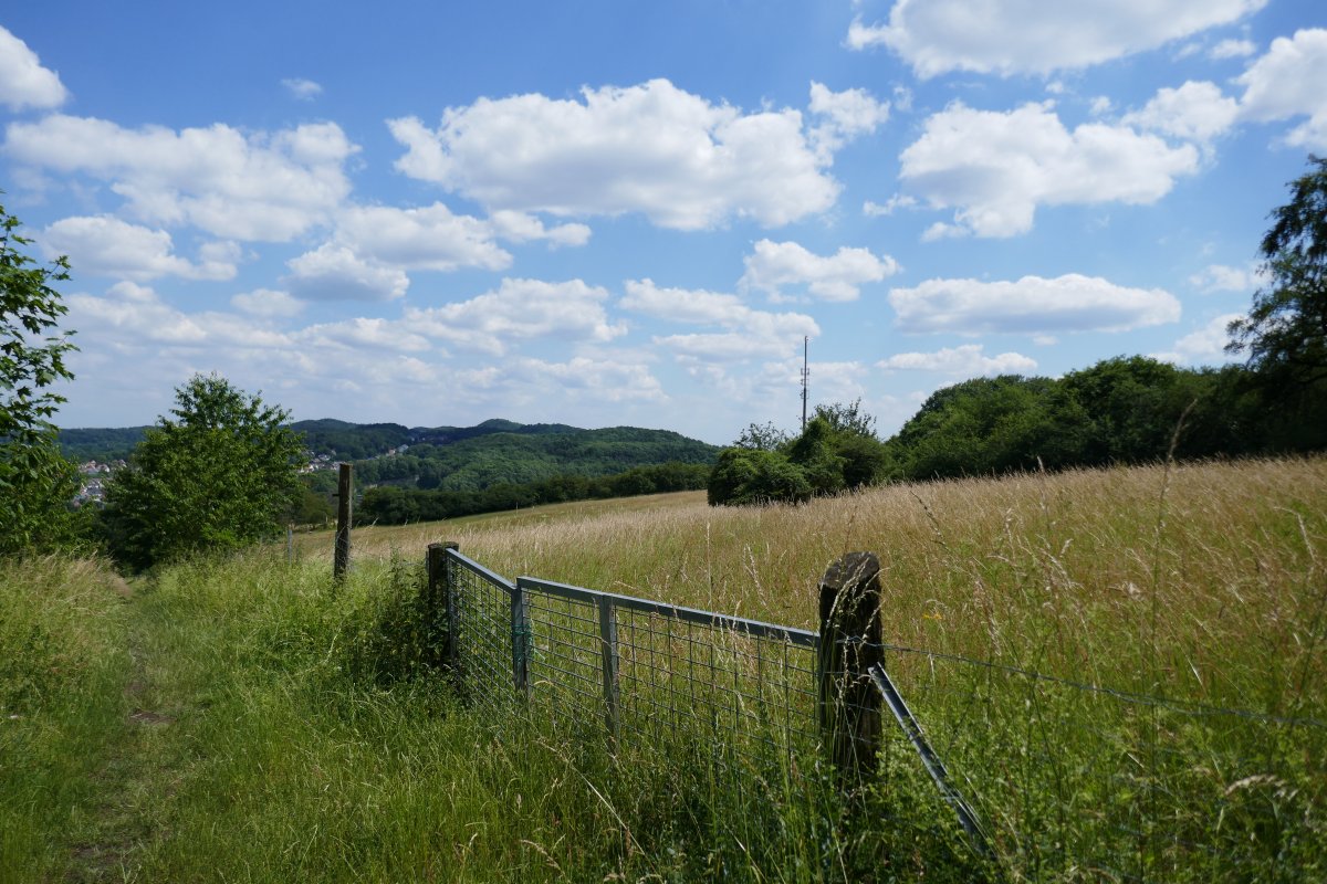 Östlicher Teutoburger Wald (West)