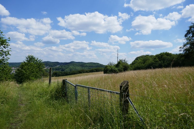 Östlicher Teutoburger Wald